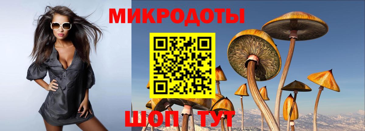  COCAIN Химки