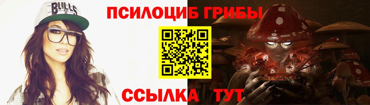Псилоцибиновые грибы Psilocybe Химки